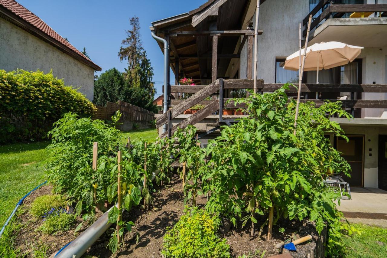 Regőczy Vendégház Zamárdi Exterior foto